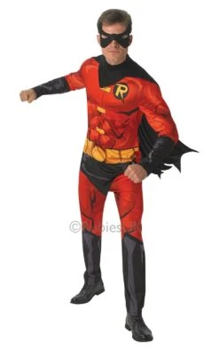 Adult DC Comic Book Robin Costume