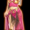 Deluxe Salome Arabian Lady 2 Deluxe Salome Arabian Lady -Halloween Costume Store deluxe salome arabian lady 5275 p