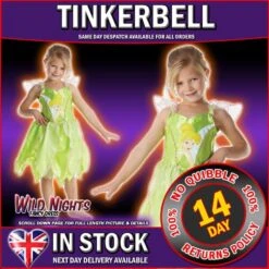 Disney Tinkerbell Classic Costume