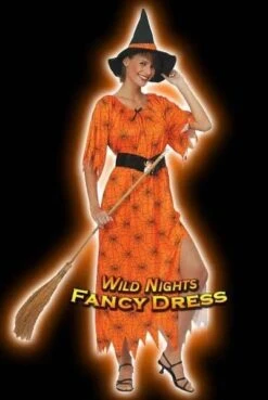 FUN WEBBED WITCH COSTUME PINK