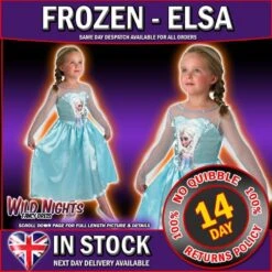 Girls Disney Princess Frozen Classic Elsa Costume