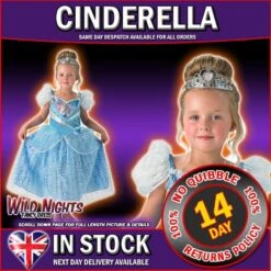 Girls Disney Princess Shimmer Cinderella Costume