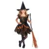AMSCAN Girls Spooky Spider Witch Halloween Costume -Halloween Costume Store girls spooky spider witch halloween costume 63780 p