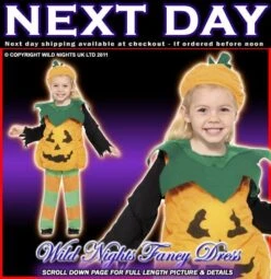 Smiffys Halloween Child Little Pumpkin Toddler Costume
