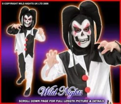 HALLOWEEN FANCY DRESS BOYS CRAZY JESTER