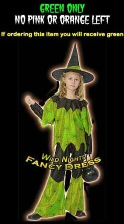 HALLOWEEN FANCY DRESS FUN GIRLS FUNKY WITCH GREEN SM