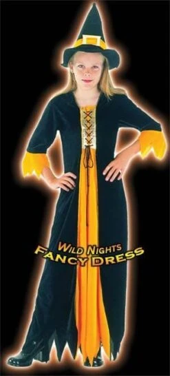 HALLOWEEN FANCY DRESS FUN GIRLS GOTHIC WITCH SM AGE 3-5