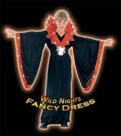 HALLOWEEN FANCY DRESS FUN GIRLS SPIDERELLA SM AGE 3-5