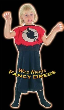 HALLOWEEN FANCY DRESS FUN GIRLS WITCH COSTUME TOD 2-3