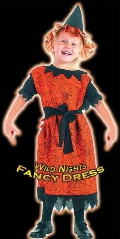 HALLOWEEN FANCY DRESS FUN SPIDER WITCH TODDLER AGE 2-3