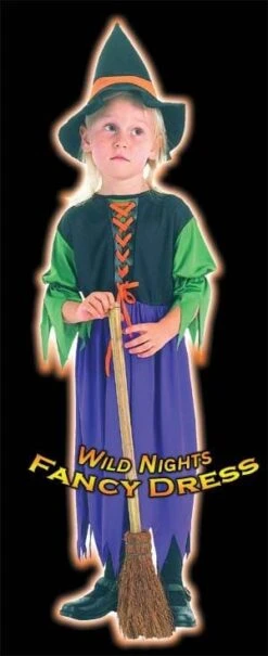 HALLOWEEN FANCY DRESS FUN STORYBOOK WITCH TODDLER 2-3