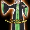 Smiffys Halloween Girls Bewitched Costume Green -Halloween Costume Store halloween girls bewitched costume green 10299 p
