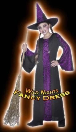 Smiffys Halloween Girls Bewitched Costume Purple