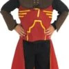Harry Potter Deluxe Quidditch Robe Costume