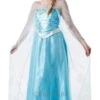Ladies Disney Princess Frozen Elsa Costume -Halloween Costume Store ladies disney princess frozen elsa costume 51116 p