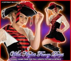 Ladies Flirty Pirate Lady Costume