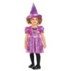 AMSCAN Paw Patrol Skye Witch Halloween Costume -Halloween Costume Store paw patrol skye witch halloween costume 63807 1 p